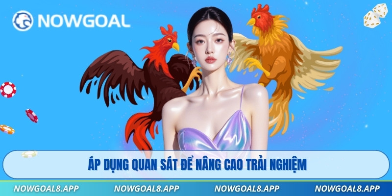 Áp dụng quan sát để nâng cao trải nghiệm