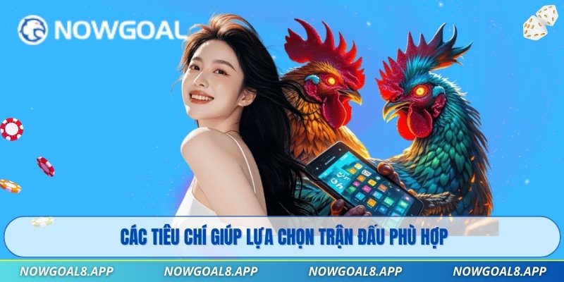 Các tiêu chí giúp lựa chọn trận đấu phù hợp