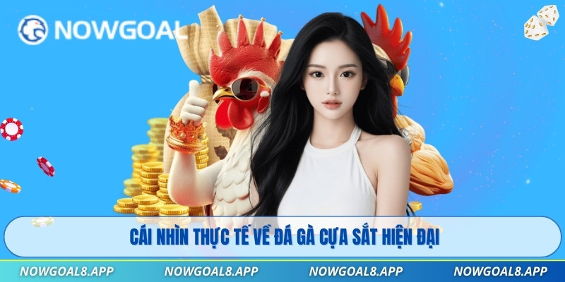 Cái nhìn thực tế về đá gà cựa sắt hiện đại
