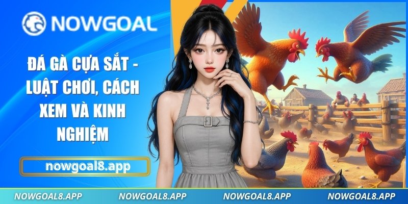 Đá gà cựa sắt