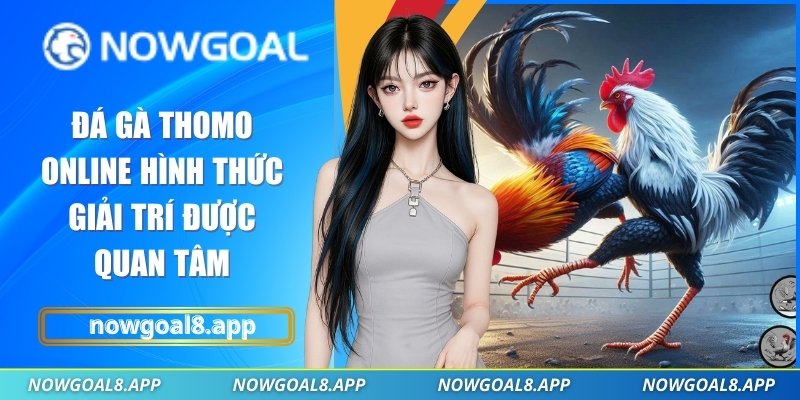 Đá gà thomo online