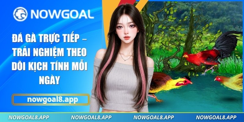 Đá gà trực tiếp