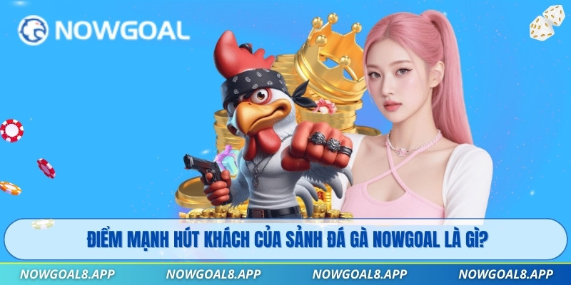 Điểm mạnh hút khách của sảnh Đá Gà Nowgoal là gì?