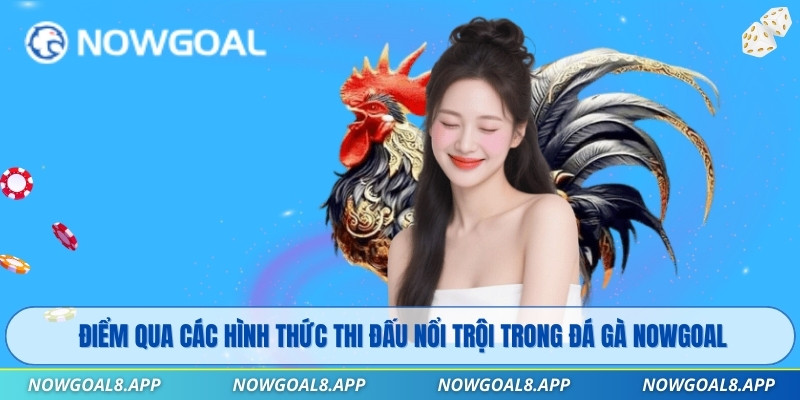Điểm qua các hình thức thi đấu nổi trội trong Đá Gà Nowgoal