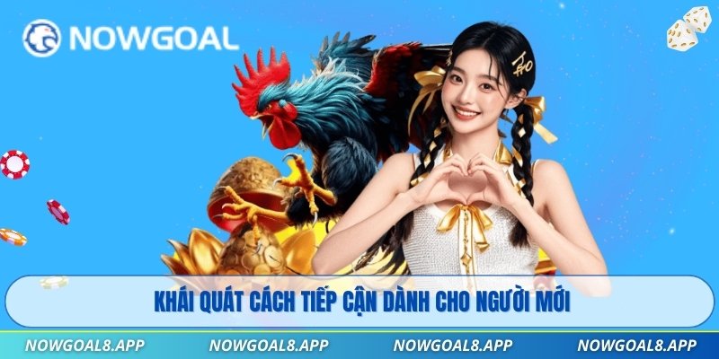 Khái quát cách tiếp cận dành cho người mới