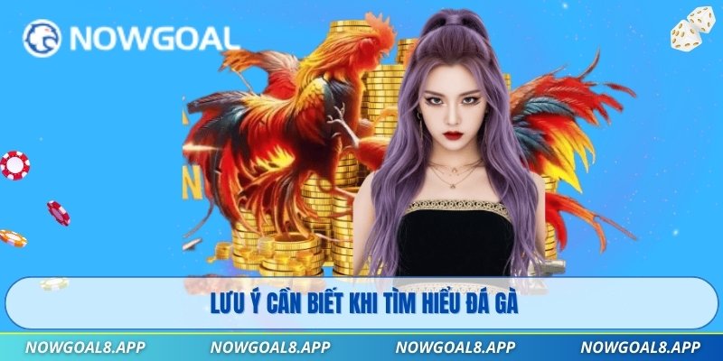 Lưu ý cần biết khi tìm hiểu đá gà