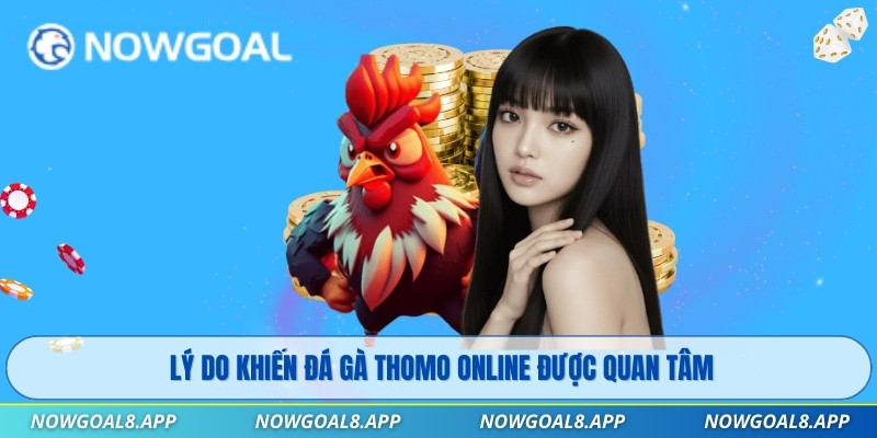 Lý do khiến đá gà thomo online được quan tâm