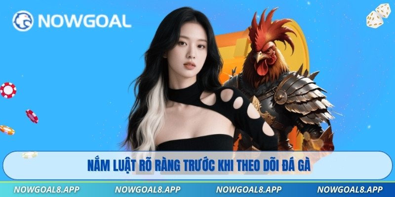 Nắm luật rõ ràng trước khi theo dõi đá gà