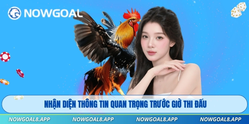 Nhận diện thông tin quan trọng trước giờ thi đấu