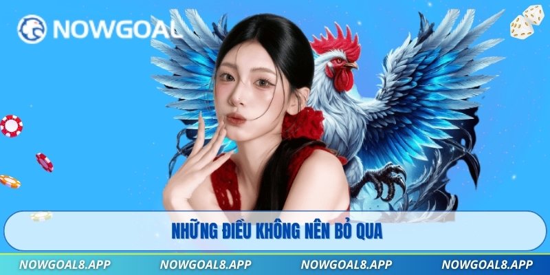 Những điều không nên bỏ qua