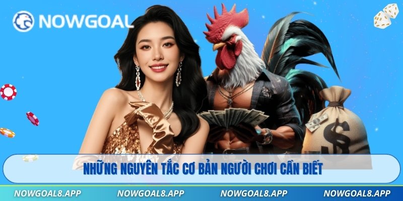 Những nguyên tắc cơ bản người chơi cần biết