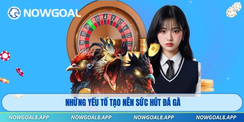 Những yếu tố tạo nên sức hút đá gà