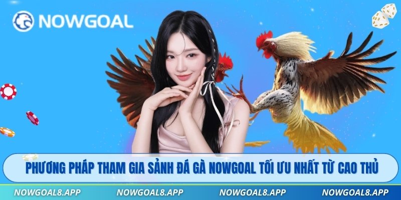 Phương pháp tham gia sảnh Đá Gà Nowgoal tối ưu nhất từ cao thủ