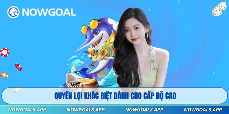 Quyền lợi khác biệt dành cho cấp độ cao