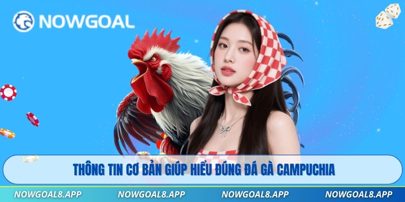 Thông tin cơ bản giúp hiểu đúng đá gà campuchia