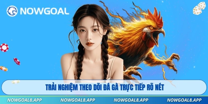 Trải nghiệm theo dõi đá gà trực tiếp rõ nét