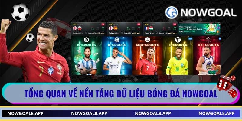 Tổng quan về nền tảng dữ liệu bóng đá Nowgoal